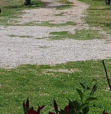Como Apartament Sukošan